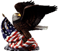 eagle1.gif (15788 bytes)