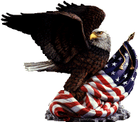 eagle2.gif (15782 bytes)